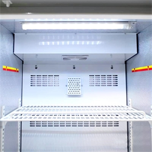 医用冷藏箱 单开门BYC-250 容积250L，2-8℃ 全新功能升级！USB导出8000组温度数据，药品试剂疫苗冷藏箱